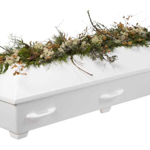 # 12 - Skog, variation efter årstider